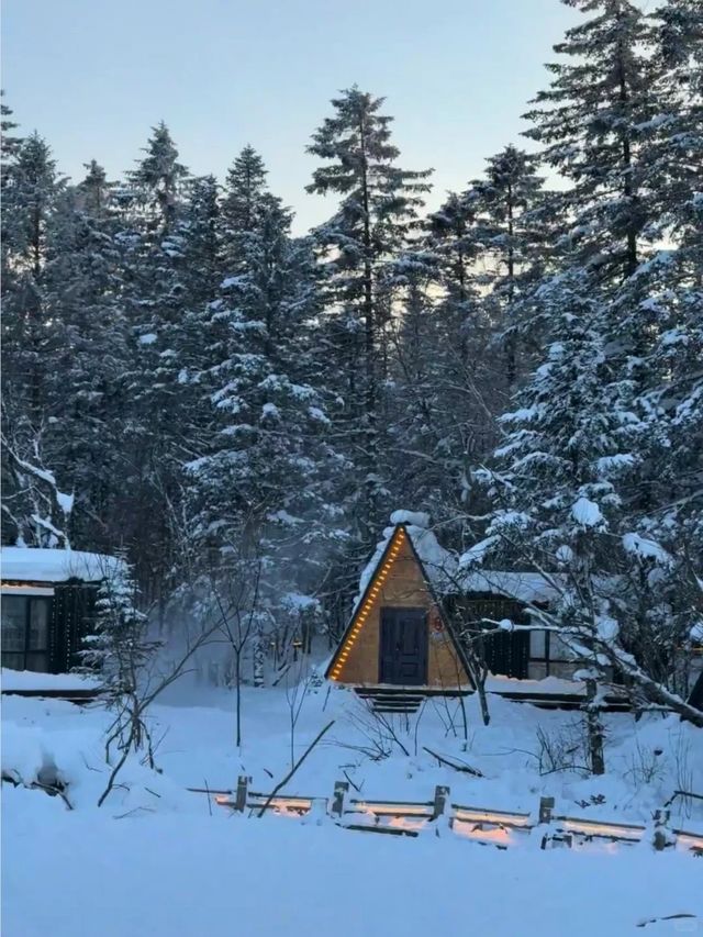 帶娃去了長白山,這雪景酒店比瑞士還震撼! 帶娃去了長白山,這雪景酒店比瑞士還震撼!
