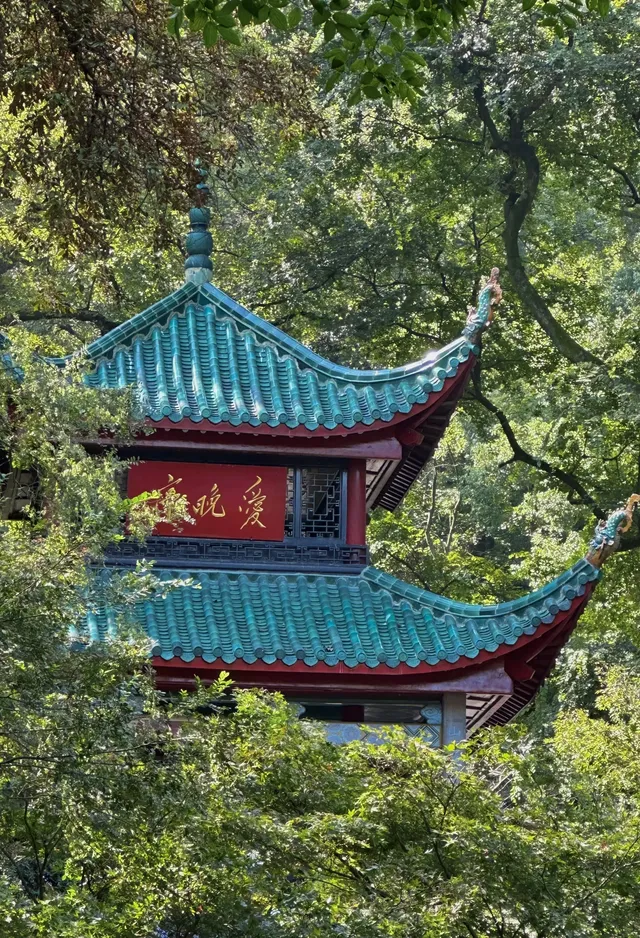 長沙嶽麓山的秋天 長沙嶽麓山的秋天