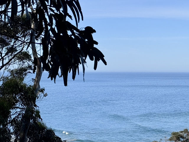 墨爾本大洋路自駕游 墨爾本大洋路自駕游