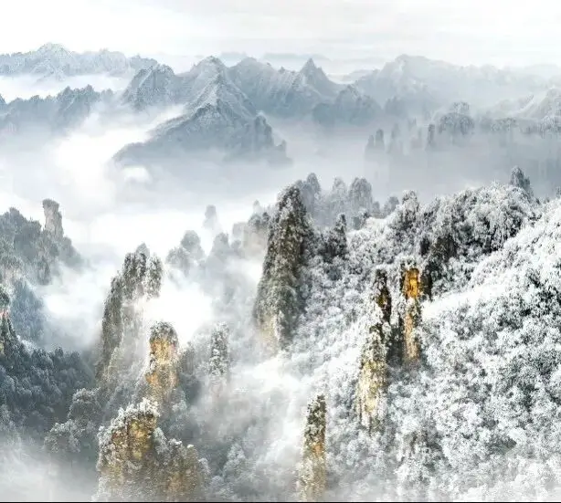 장가계 아바타 지구 체험지 겨울 시즌 오픈