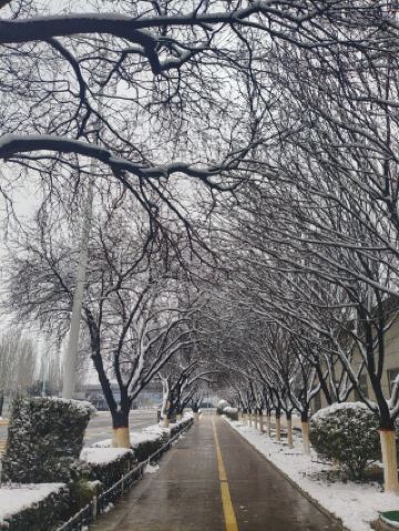 시안에 왔으면 이렇게 놀아야죠.