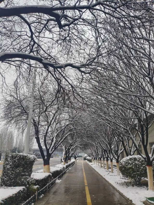 มาซีอานแล้ว ต้องเที่ยวแบบนี้เลย