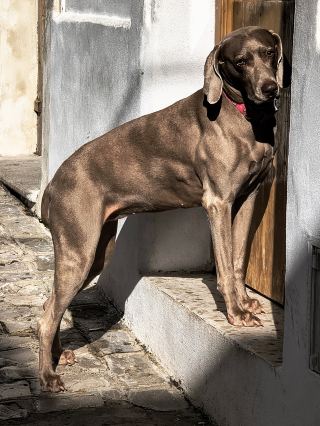 กุญแจสู่ช่องแคบยิบรอลตาร์--ทาริฟา (Tarifa)