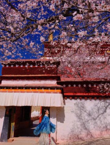 National Geographic didn’t lie to me—Nyingchi’s peach blossoms hide China’s most beautiful spring