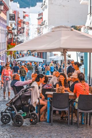 スペイン・ラ・パルマ島、三毛の足跡を追って