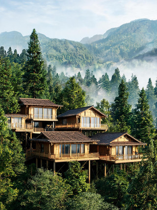在峽谷邊住到了森系木屋，太治癒了