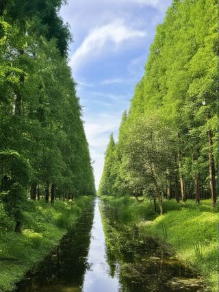 Summer vacation trip to Yancheng–Taizhou: a detailed guide worth saving