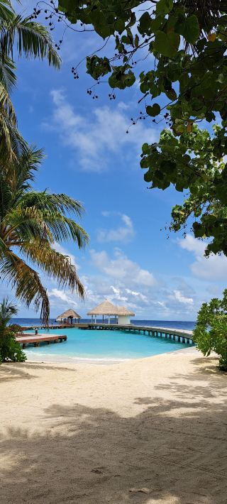 素晴らしいサービスと美しい島。