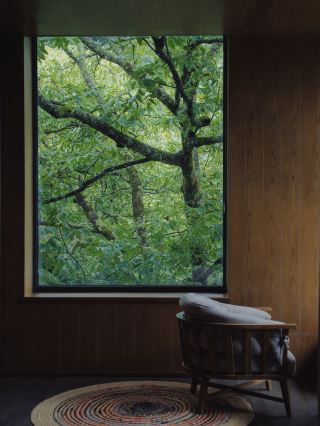 Ailao Mountain | Outside the window is a primeval forest