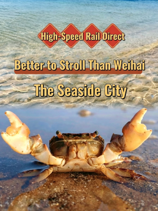 High-speed rail direct! 5 seaside towns more worth visiting than Weihai