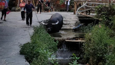 Luanli-Dali-Huanggang: Khám phá những bí mật vẫn còn nguyên vẹn của vùng đất dân tộc thiểu số Đông. — traveler post in Tòng Giang