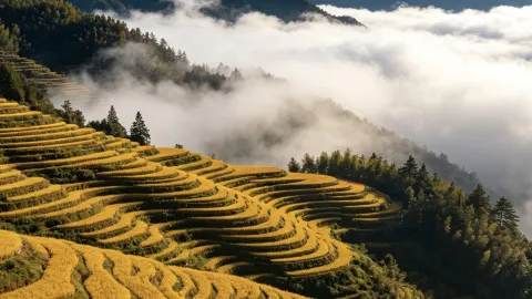 3 ชม. จากเซี่ยงไฮ้ | เที่ยวสวนกระแสช่วงวันชาติ | 6 จุดชมฤดูใบไม้ร่วงลับในเจียงเจ้อหู — traveler post in หลี่ซุ่ย
