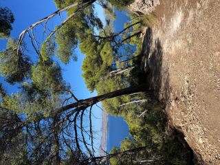 Scenic Hike to Talaia d’Alcúdia with Stunning Coastal Views