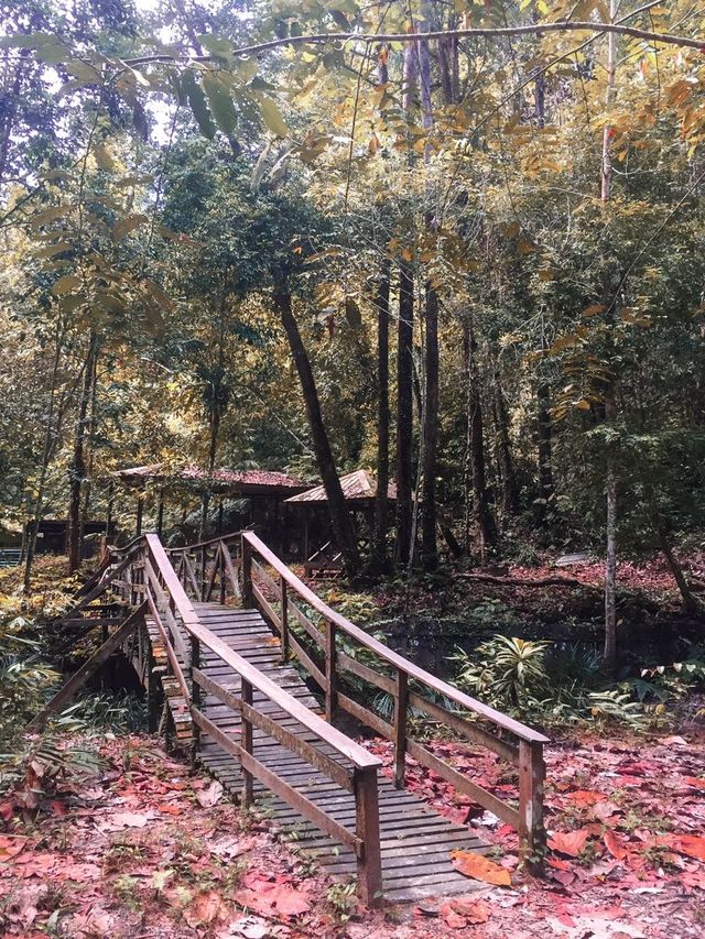 NATURE DATE !