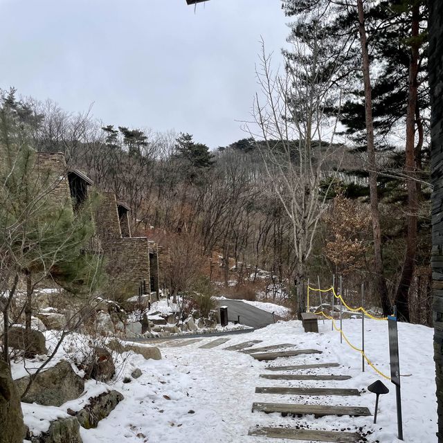 제천 포레스트 리솜 s30 숲캉스 후기 🍃