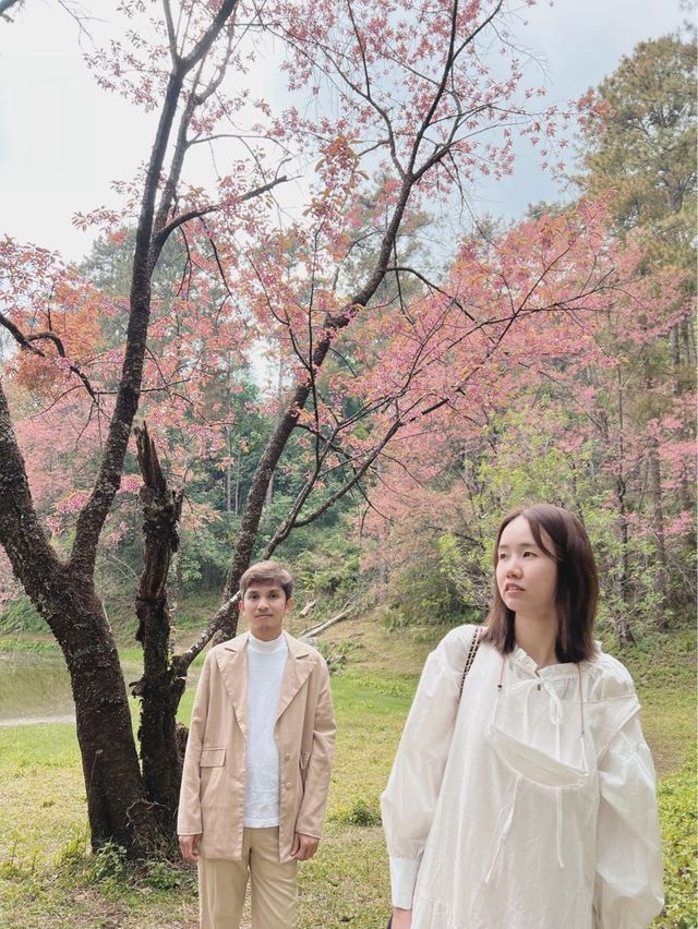 ศูนย์อนุรักษ์พันธุ์กล้วยไม้รองเท้านารี 🌸🌸