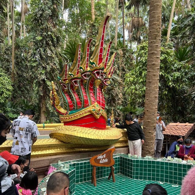 คำชะโนด บ้านดุง🙏