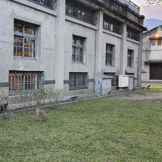 市中心的歷史酒廠老建築【花蓮文化創意產業園區】