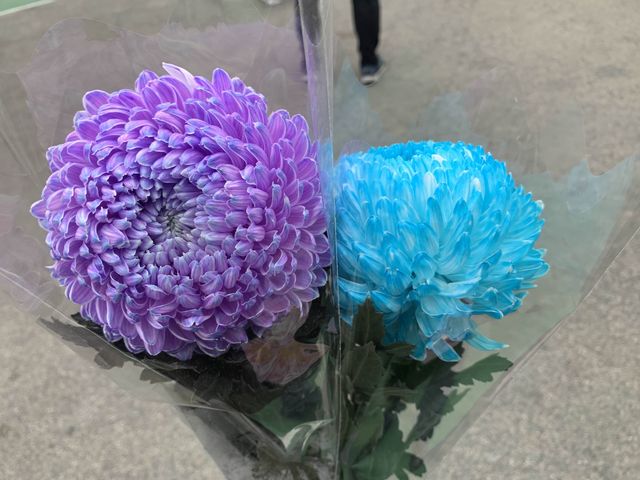 The Biggest Chinese New Year Flower Market In Hong Kong