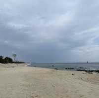 고요한 겨울바다 정취를 만끽할 수 있는 강릉 송정해수욕장🌊
