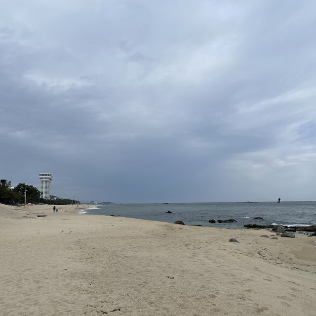 고요한 겨울바다 정취를 만끽할 수 있는 강릉 송정해수욕장🌊