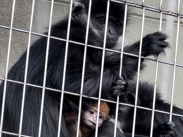 今なら赤ちゃんに会えるかも！？
