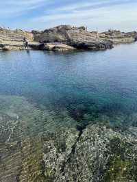 【三浦海岸】海と河津桜