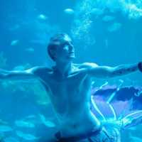 Aquaria Phuket