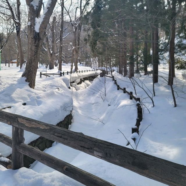 눈이 가득한 삿포로의 마루야마 공원 円山公園 일본여행