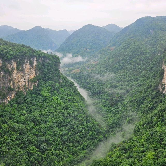 Glass Bridge Zhang Jia Jie