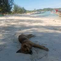 หาดบาง​รักษ์​ เกาะสมุย