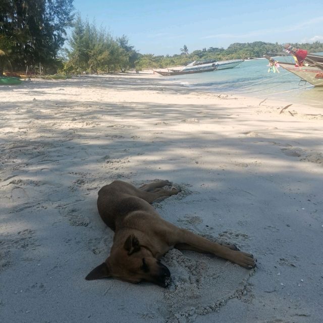 หาดบาง​รักษ์​ เกาะสมุย