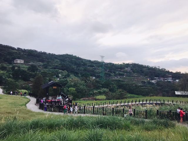 台北必去景點🐱貓空泡茶🍵