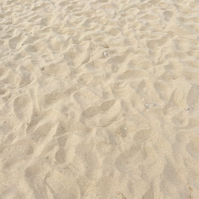 A beautiful beach from nature 🏖️