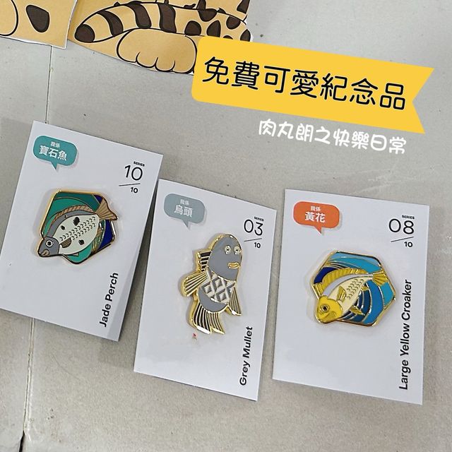 香港免費遊學館-帶孩子去了解香港漁業