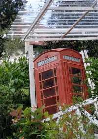 CHILLING IN CAMERON HIGHLANDS, PAHANG!