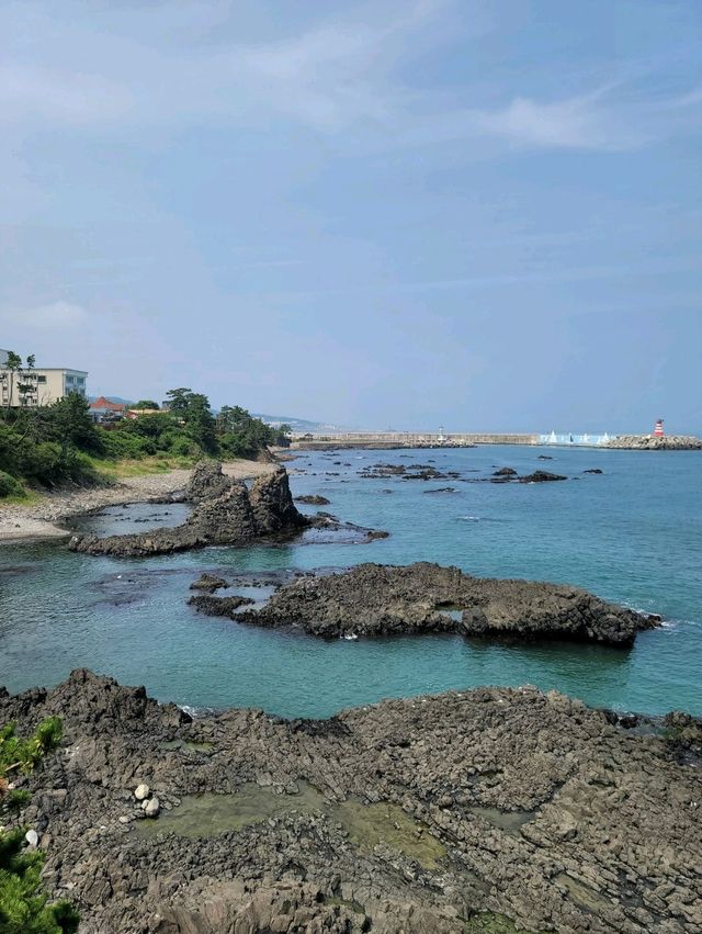 아름다운 바다위 그림같은 경주 양남 주상절리🪨🌊