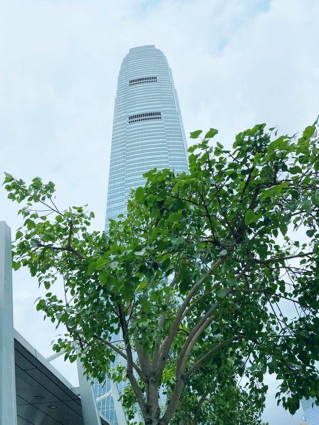 開心的啃漢堡， 和朋友歡快的搶炸雞吃，還有最美全海景！大滿足！