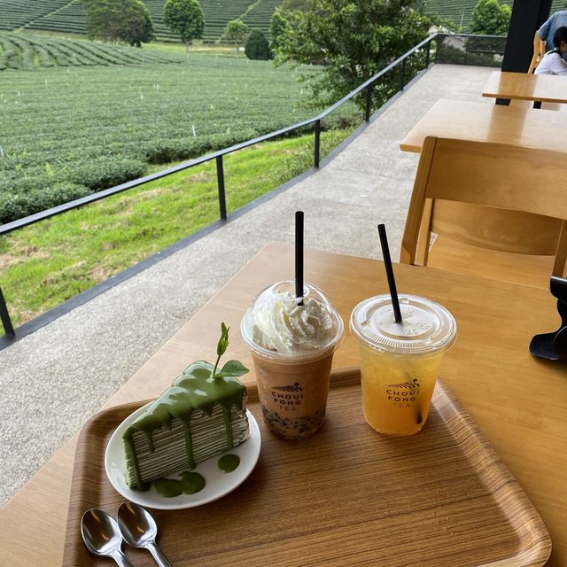 ไร่ชาฉุยฟง🍵