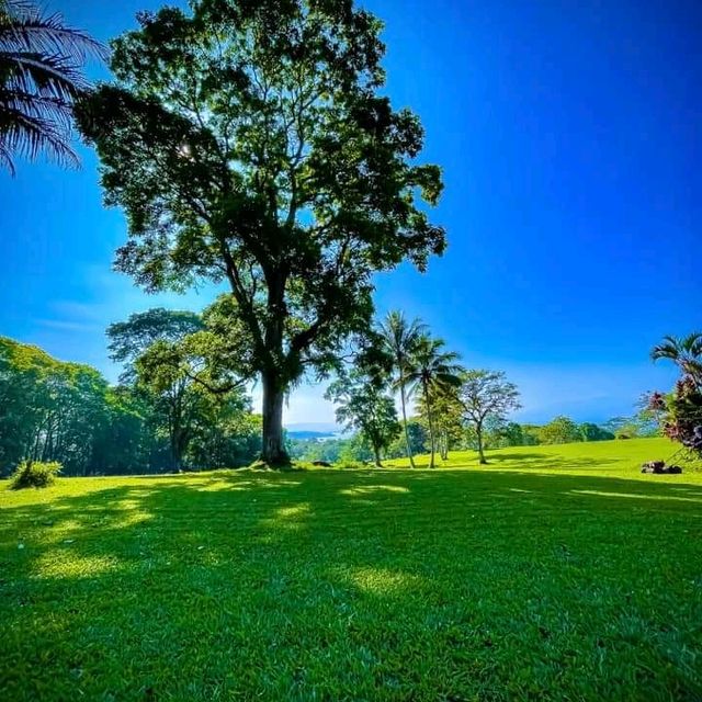 MSU Marawi breathtaking views