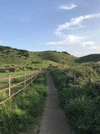 초록 자연가득! 노을맛집 용눈이오름⛰️🏞️