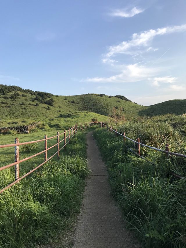 초록 자연가득! 노을맛집 용눈이오름⛰️🏞️