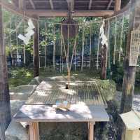 京都嵐山の野宮神社は緑深い神秘的なパワースポット