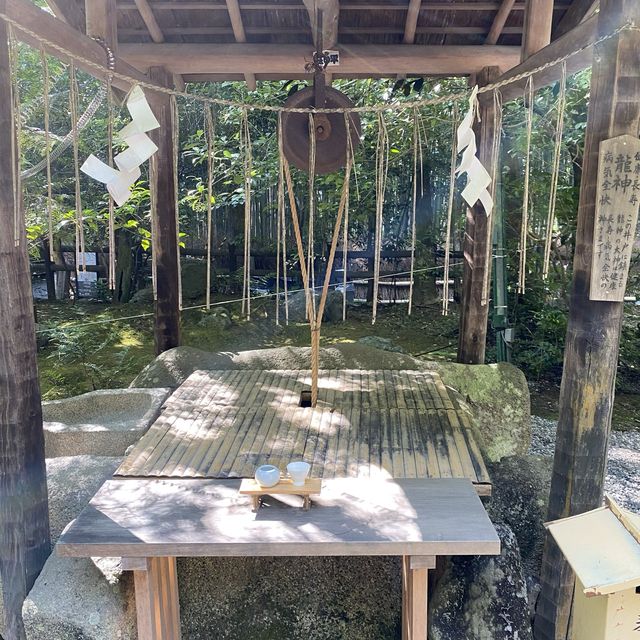 京都嵐山の野宮神社は緑深い神秘的なパワースポット