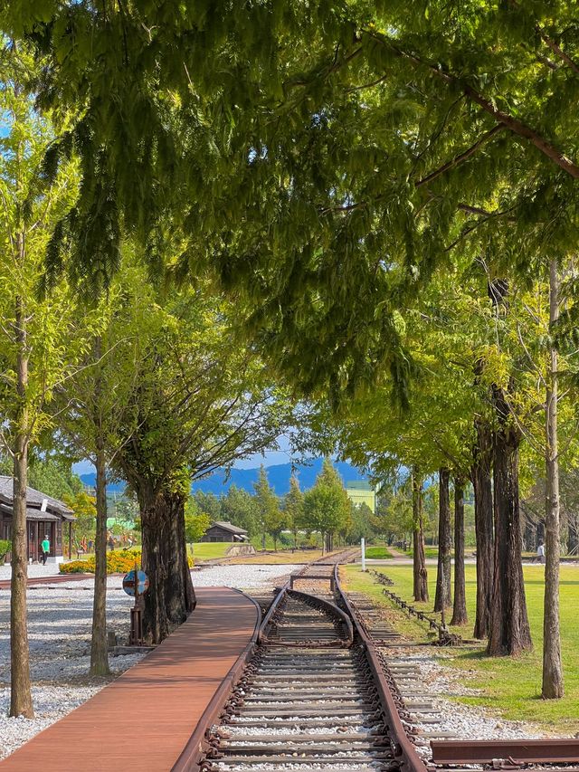 남원 숨은 여행지🌾폐역을 개조한 서도역🚉
