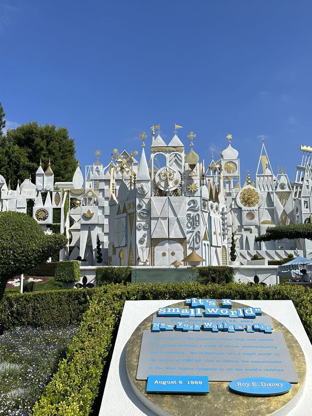 Magical moment at Disneyland Park California 