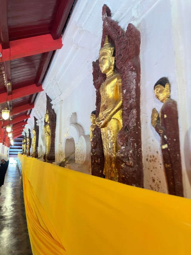 📍“เกิดมาชาติหนึ่งขอได้กราบพระบรมธาตุเมืองคอน”