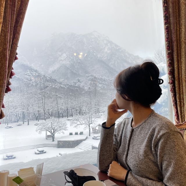 영국풍 인테리어가 멋진😎켄싱턴호텔 설악