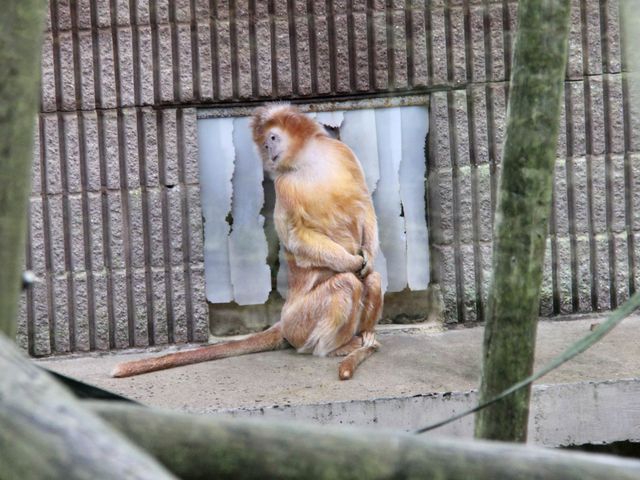 Best wildlife park in Belfast worth visiting 