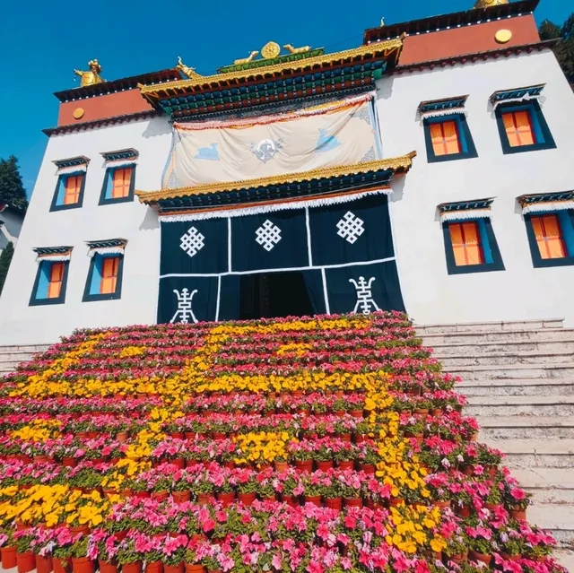 All in One | Kunming Ethnic Village